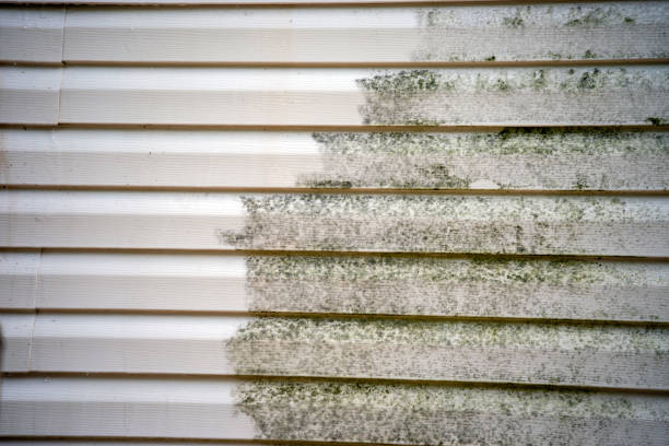Best Storm Damage Siding Repair  in Jemison, AL