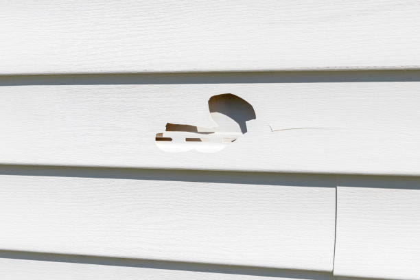 Best Siding Repair  in Jemison, AL