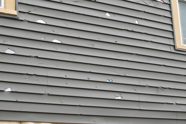 Best Weatherproofing and Sealing  in Jemison, AL